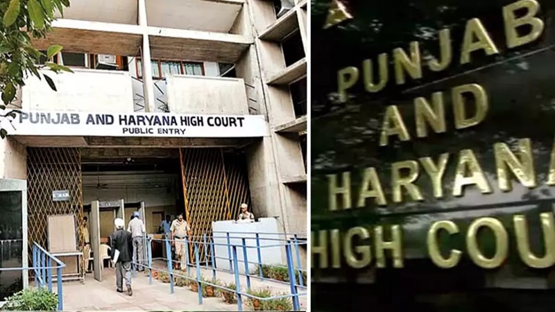 Punjab Haryana High Court