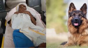 Panipat News: पातलू जर्मन शेफर्ड ने बच्चे को काटा, आक्रोशित परिजनों ने कुत्ते को मार डाला; 4 लोगों पर मामला दर्ज