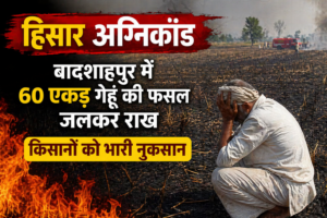 Hisar Fire News: बादशाहपुर में 60 एकड़ गेहूं की फसल जलकर राख, किसानों को भारी नुकसान