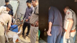 YamunaNagar Police: थाना शहर रतिया पुलिस की सघन तलाशी कार्रवाई : अवैध देसी शराब सहित एक आरोपी काबू